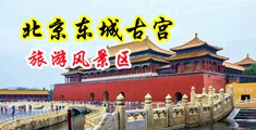 美女日逼视频网站免费观看中国北京-东城古宫旅游风景区